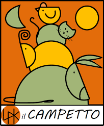 Il campetto